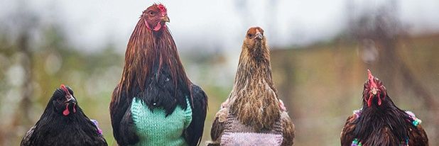 Switzerlandd00's profile banner image