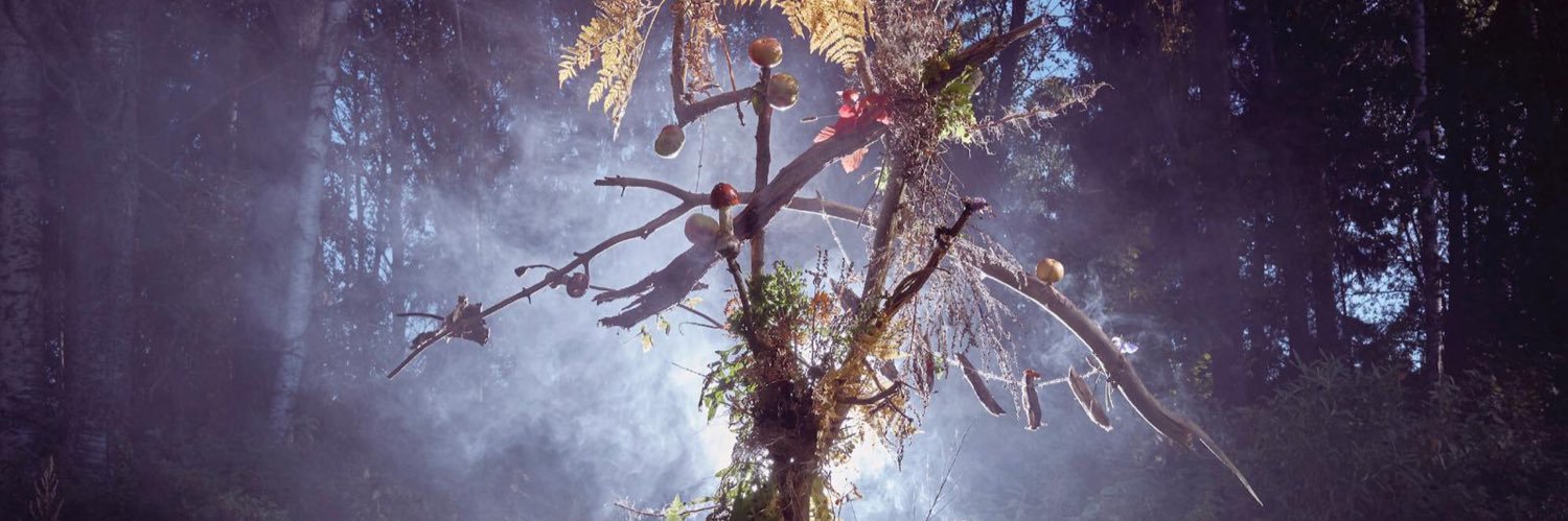 Daniel Greayer banner