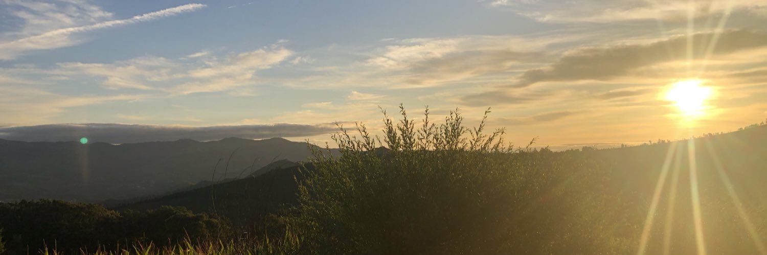ChristelleCsl's profile banner image