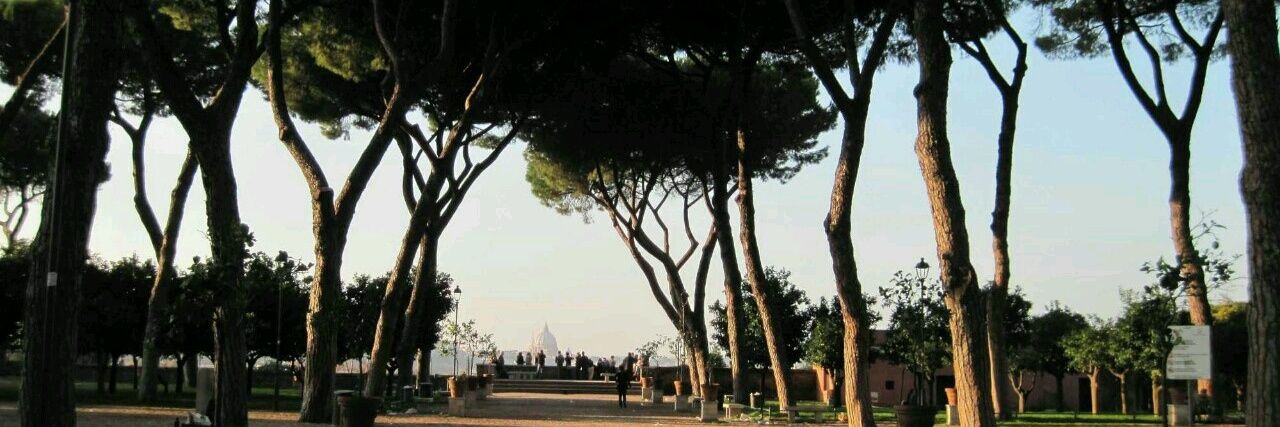 Gidgetwidget.bsky.social banner