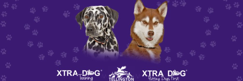 XtraDog's profile banner image