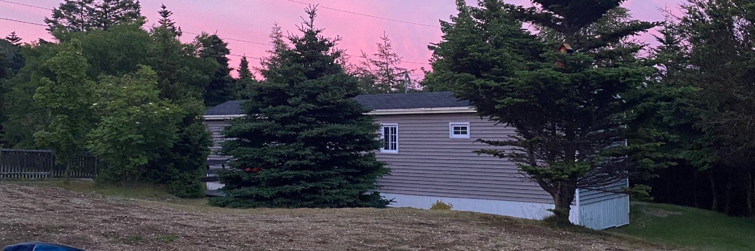 deenafagan73's profile banner image