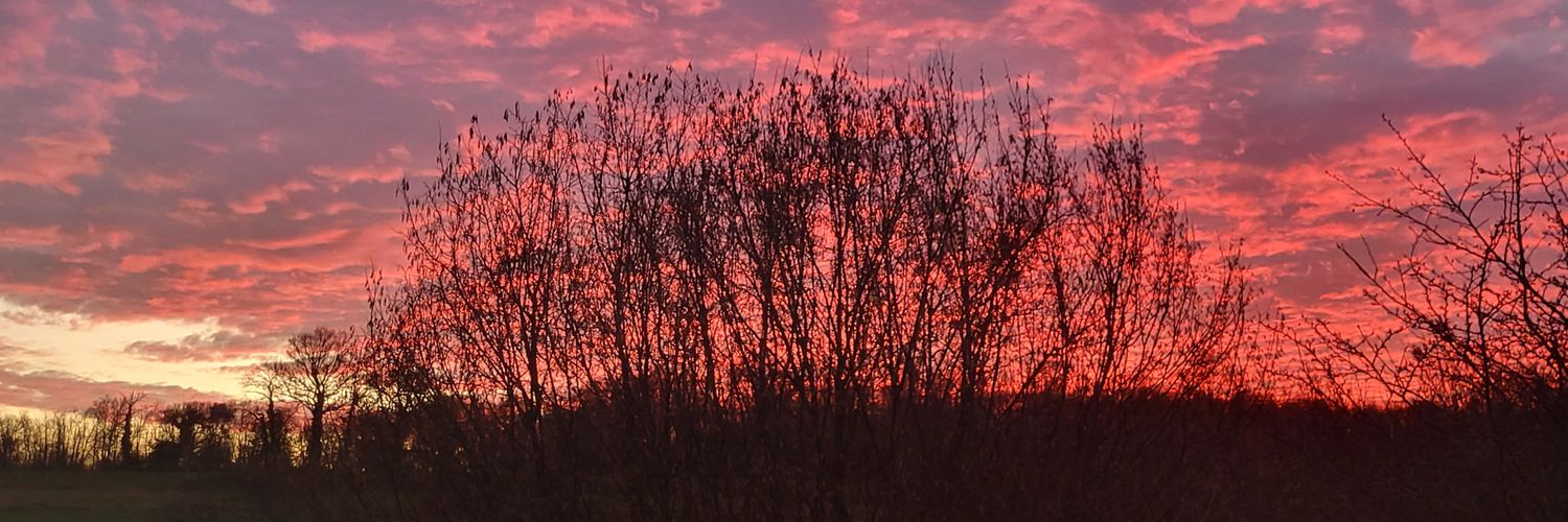 Félix Mathieu banner