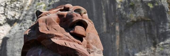 cris violette deBnst 🇮🇱 🇨🇵🎗 banner