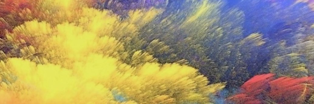 BuckleyMedia's profile banner image