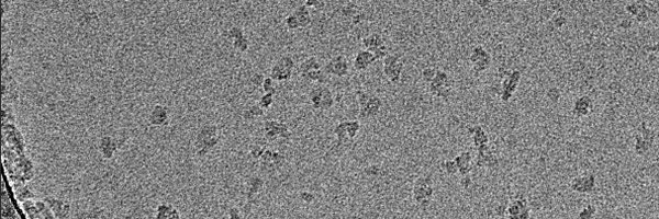 LettsScience Profile Banner