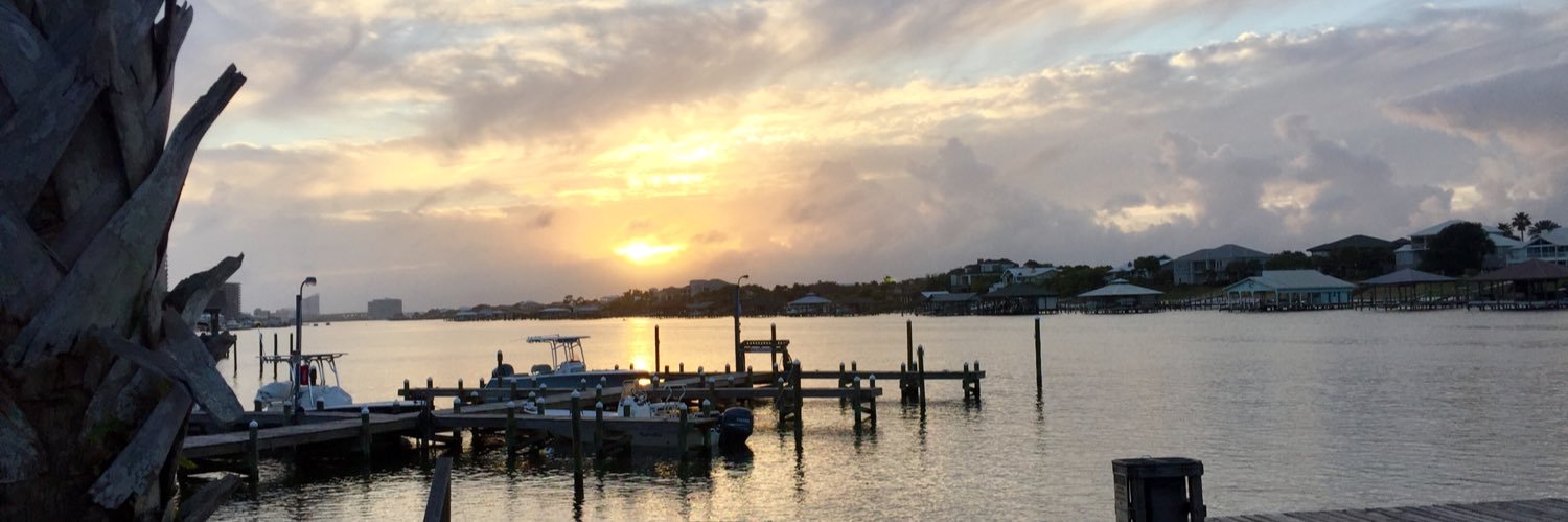 Karen Wall 🅿️orter 🦚 banner