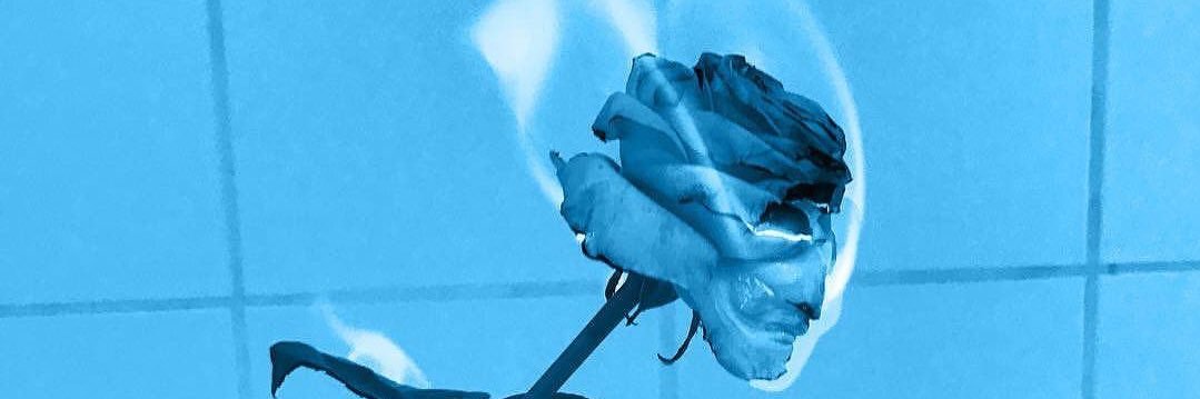 Danielle Render banner