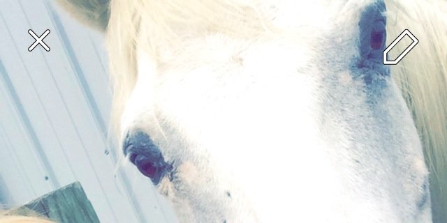 KayleeRae7's profile banner image