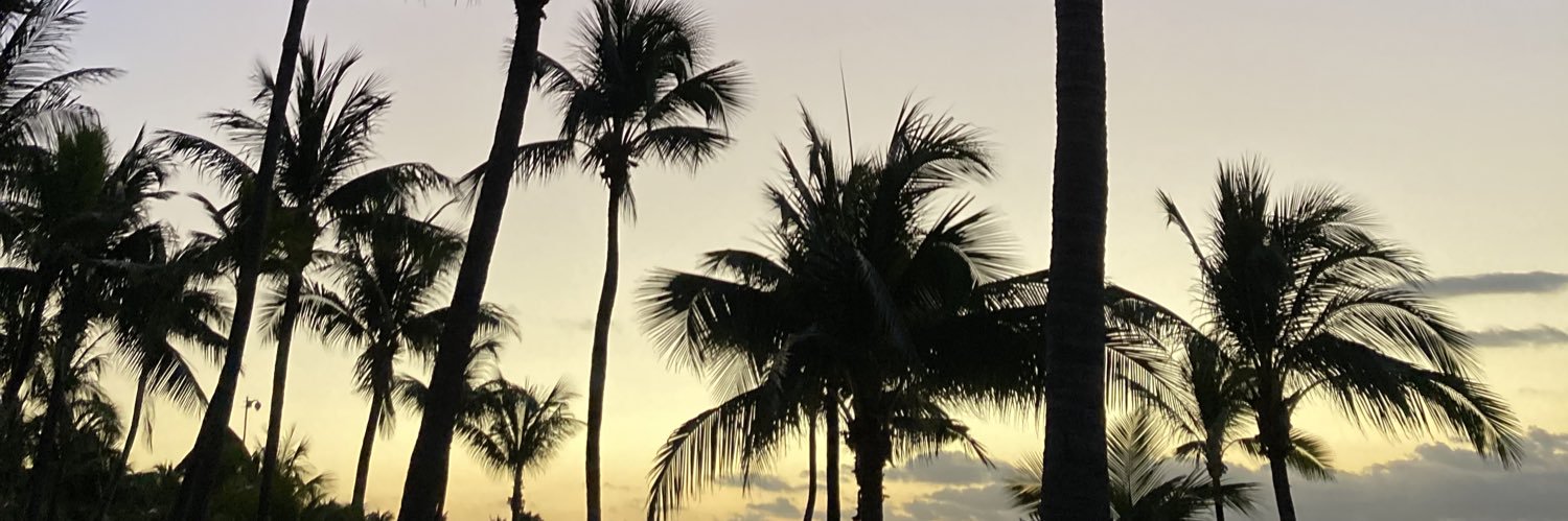 RosaliaChispa's profile banner image