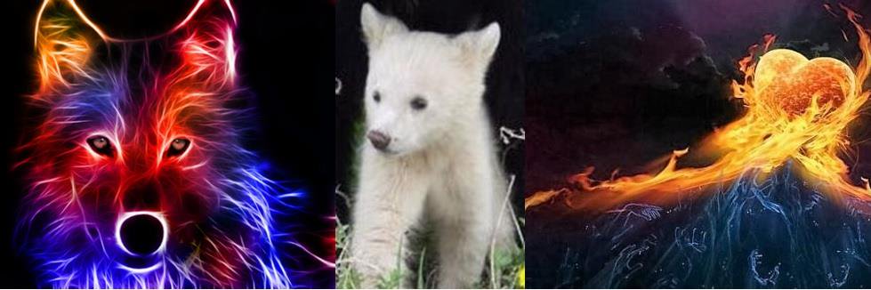 aboriginalteach's profile banner image