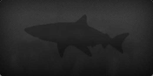 Andraž Brodnik brodul banner