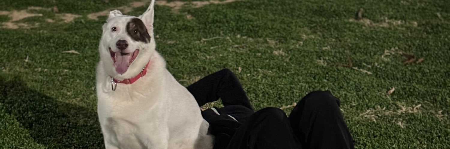 Fatgabrielaa's profile banner image