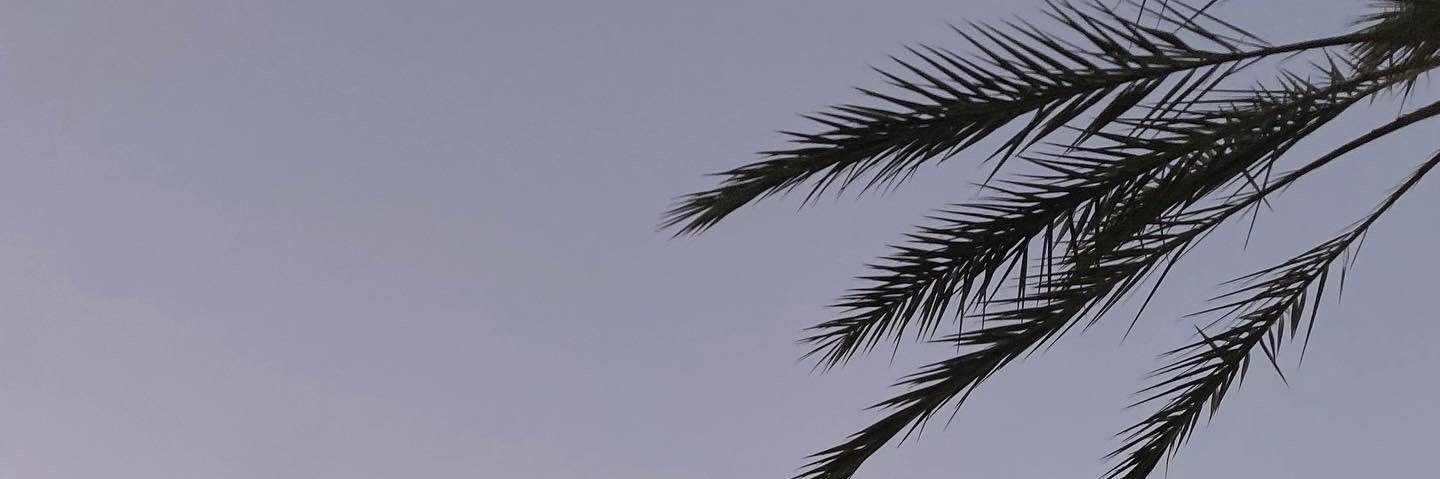aleeeeeee_x3's profile banner image