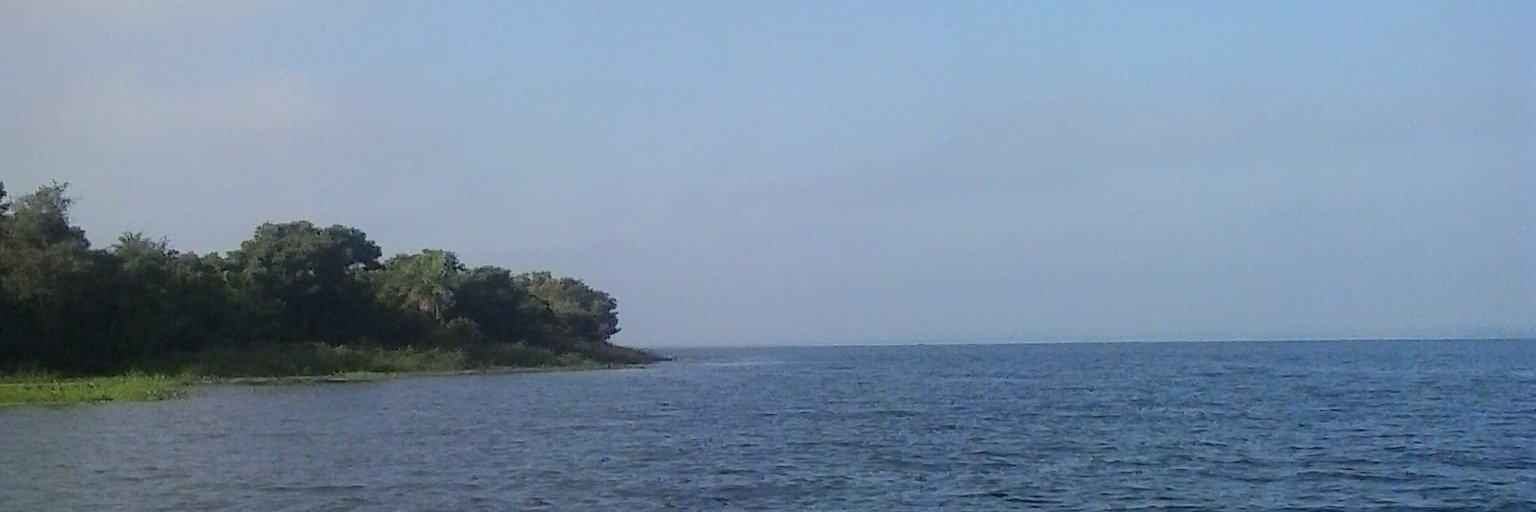 williamcamargo's profile banner image