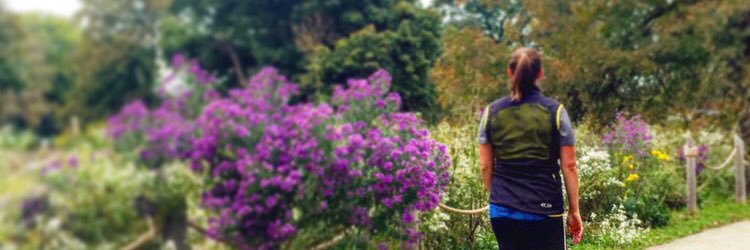 KristenParenti's profile banner image