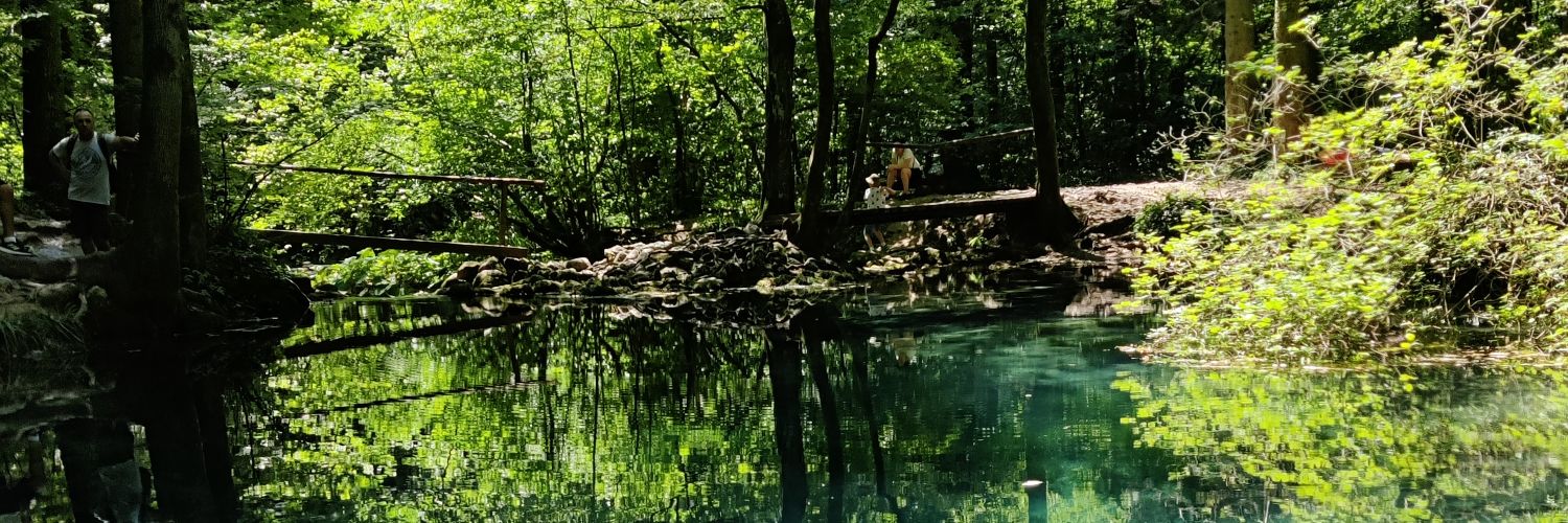 Michael Schäfer @michaelschaefer.bsky.social banner