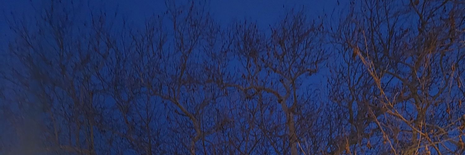 northwolf_77's profile banner image