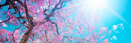 RachTurek's profile banner image