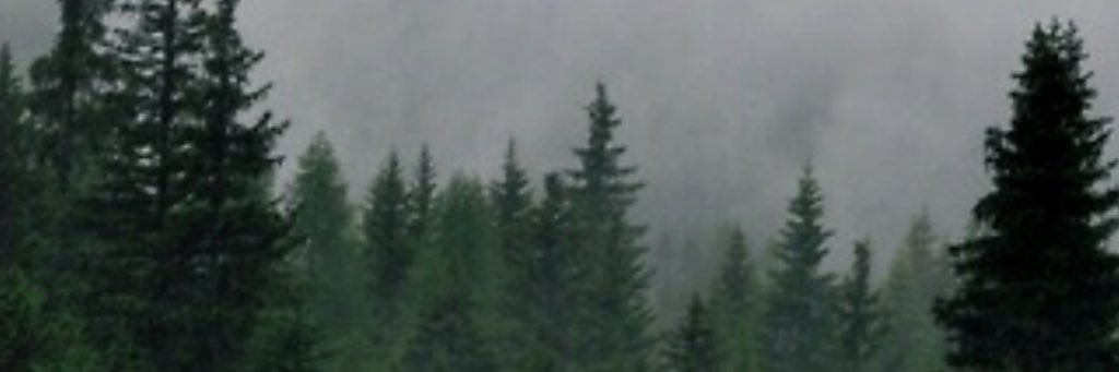 Sarah_kacz's profile banner image