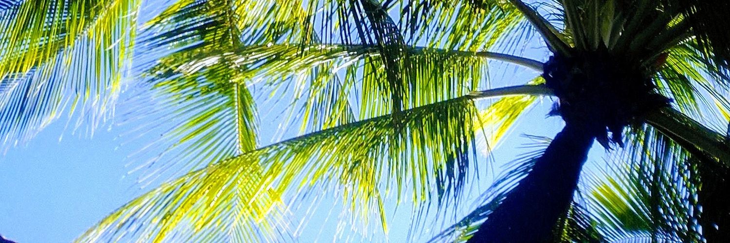 RePezMich's profile banner image