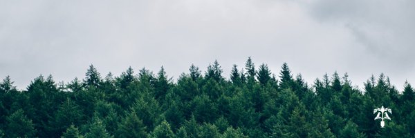 lenniemoreno Profile Banner