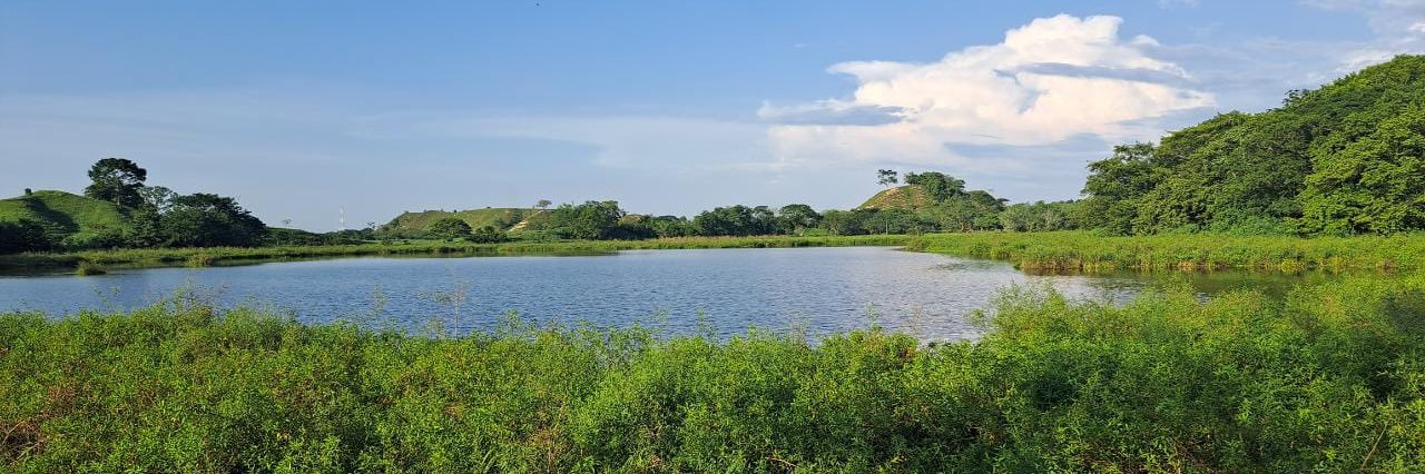 Catavalse's profile banner image