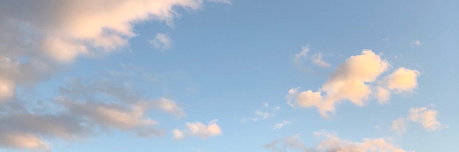 iamaleex23's profile banner image