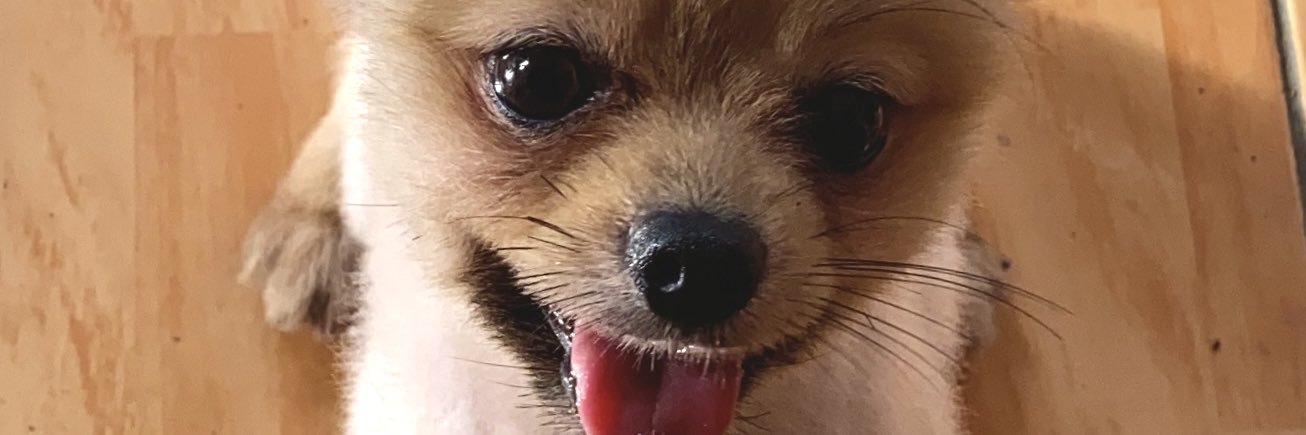 daddyofmacchi's profile banner image