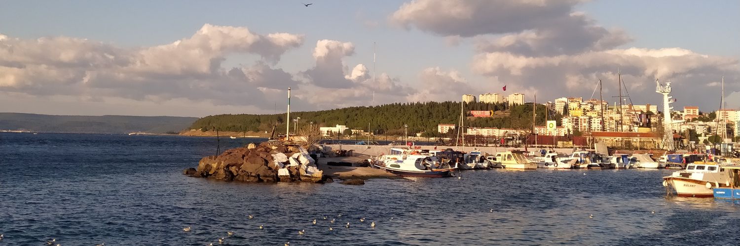 AybukeBaykan's profile banner image