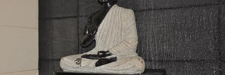JangalaP's profile banner image