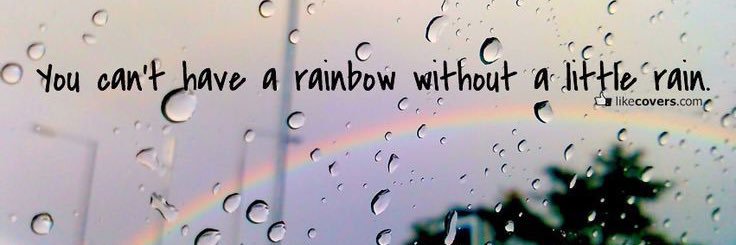 chloebartelss's profile banner image