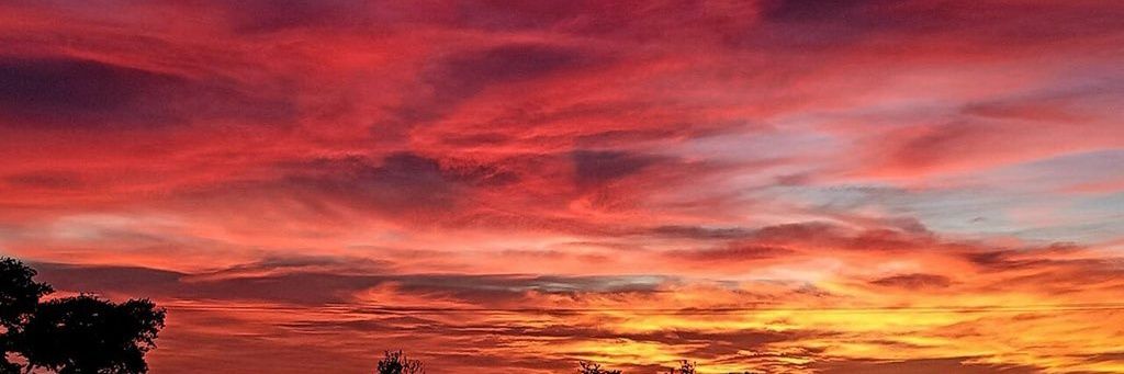 suniwaters's profile banner image