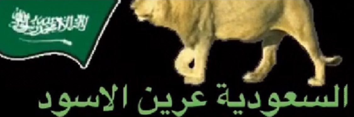alfadey's profile banner image