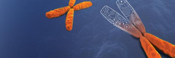 SamplePrep4Sci Profile Banner