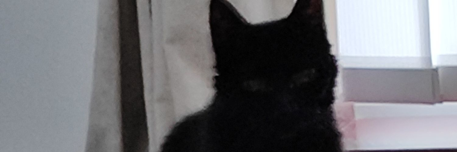 CarlyWilson05's profile banner image
