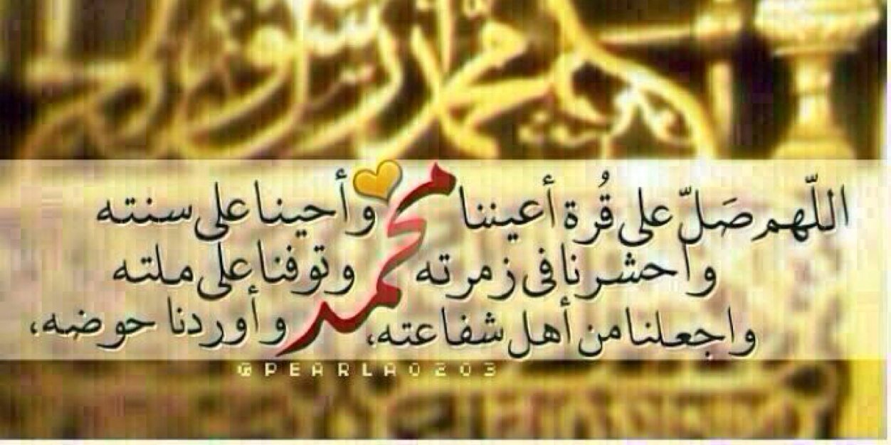 محمد أمين مصلي banner