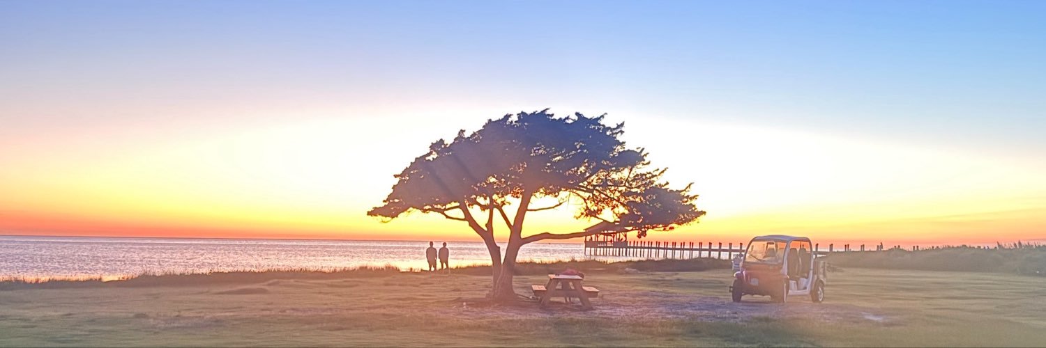 DaniPavone's profile banner image