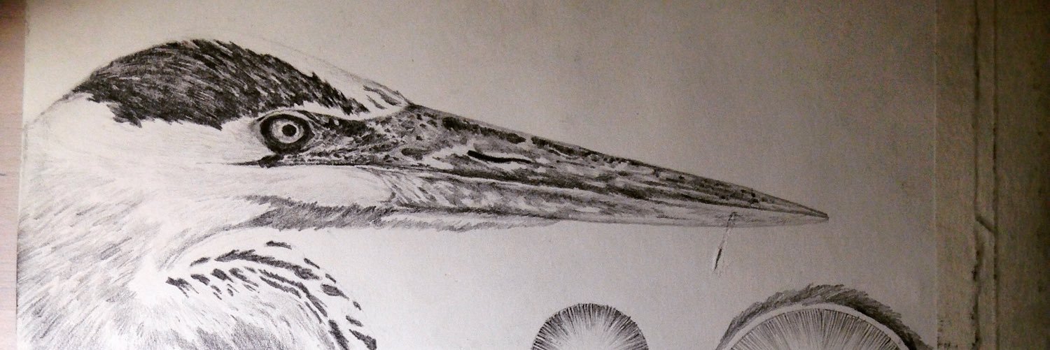 Brianmacalister's profile banner image