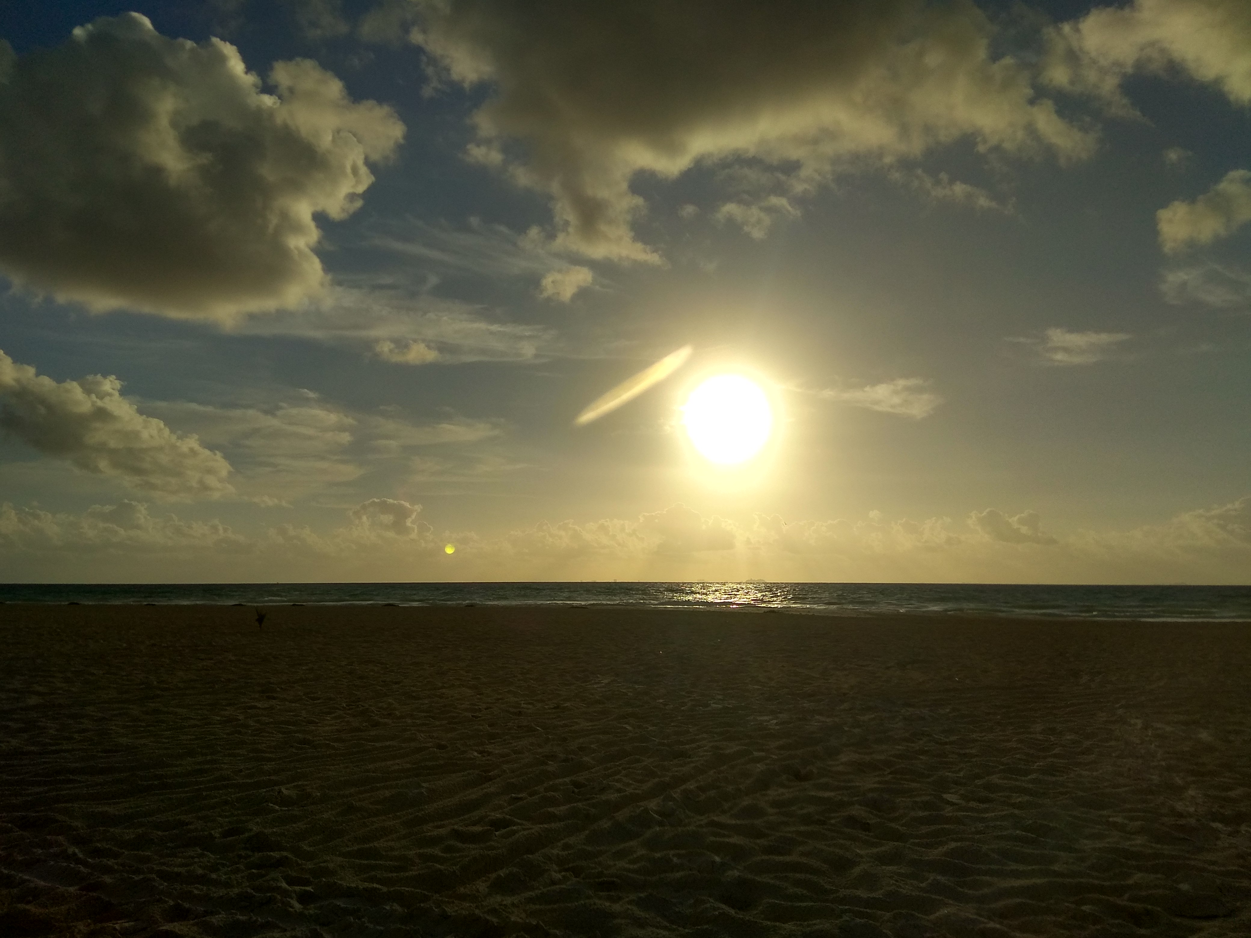 Marco Salvucci banner