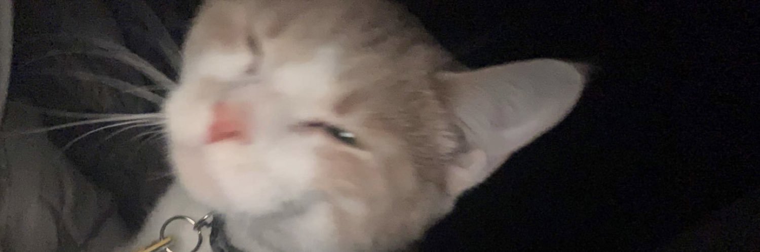 WhiteBronc0's profile banner image