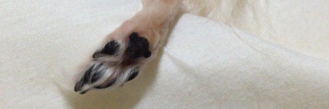 あっこ banner