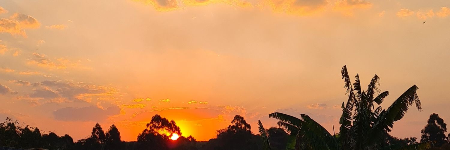 ProfZAlves's profile banner image