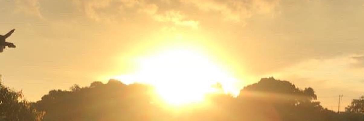 Sunset Curious banner