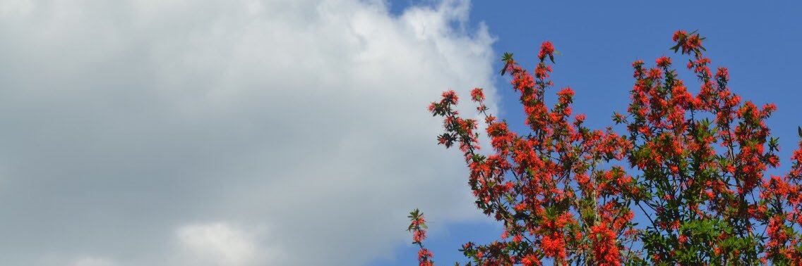 Tschleggs's profile banner image
