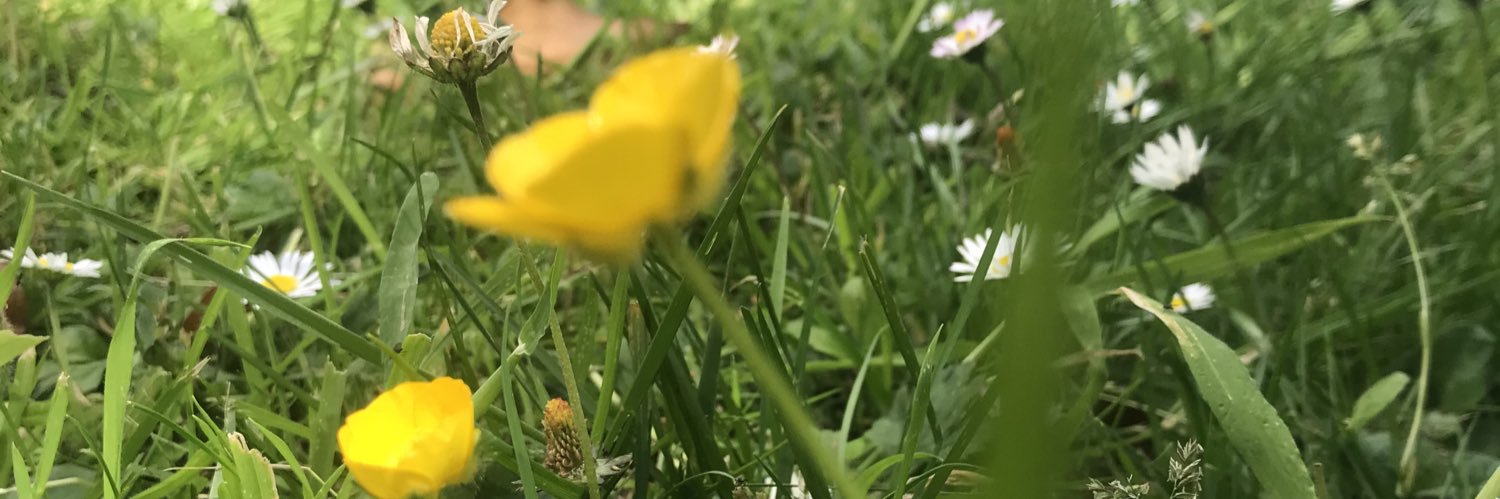 late_bar's profile banner image
