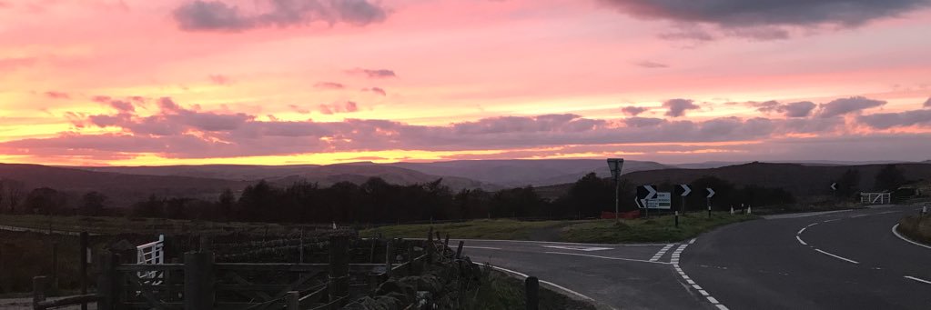 James Naylor 🌻 banner