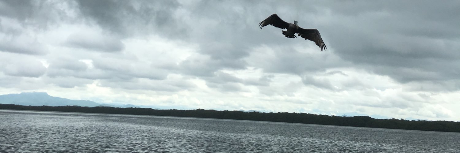 temolopez1's profile banner image
