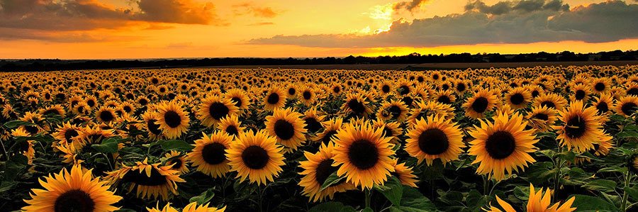 LindsH95's profile banner image