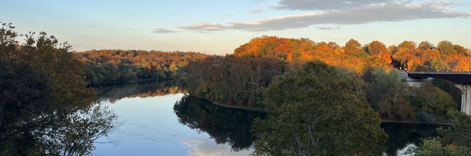 Elaine Schwing Cook banner